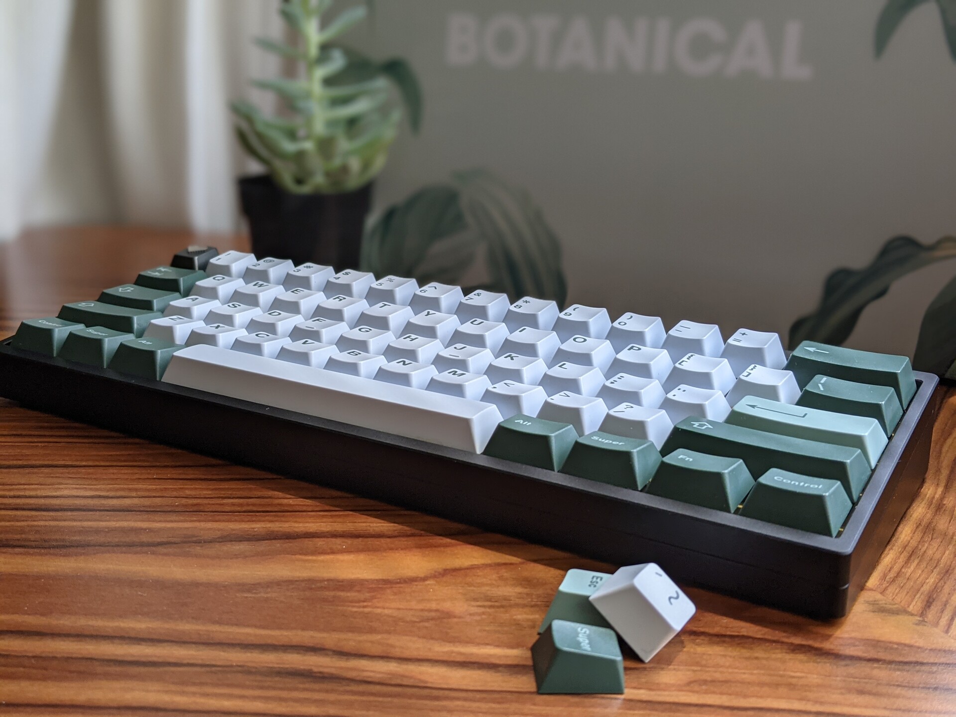 TFV2 custom mechanical keyboard build with GMK Botanical keycaps